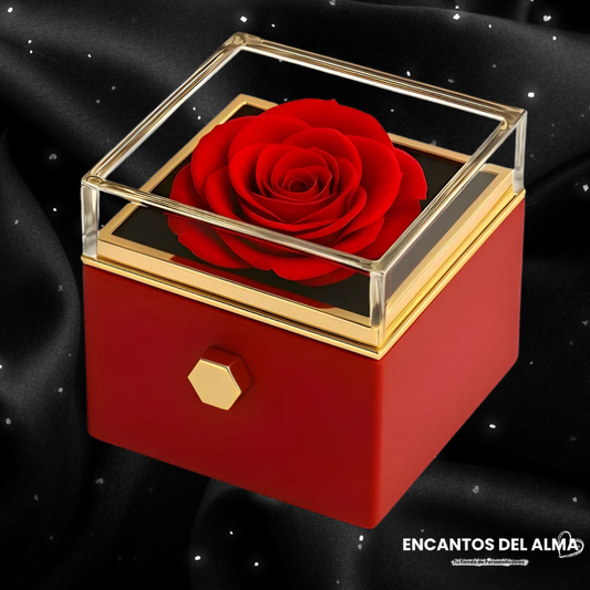 Caja de Rosa Eterna | Rosa Real y Collar Personalizado en Oro 18k