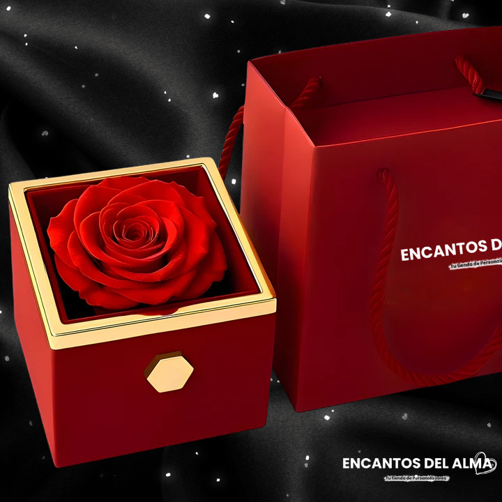 Caja de Rosa Eterna | Rosa Real y Collar Personalizado en Oro 18k
